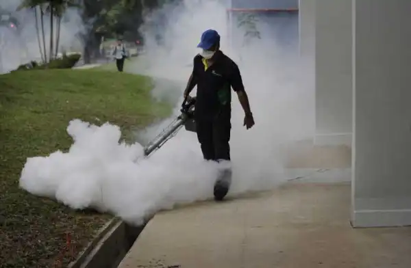 The Deadly Zika Virus Is Coming To Nigeria Next, Scientists Predict